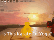 a screenshot of a video game with the words " is this karate or yoga "