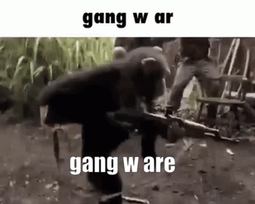 gang fight gif