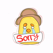 chicken animal sorry apology cry