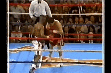 two boxers in a ring with a referee standing behind them