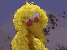 Muppet Show Big Bird GIF - Muppet Show Big Bird Confused GIFs