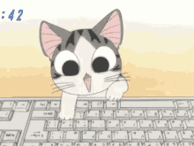 Cat Computer GIF - Cat Computer Anime GIFs