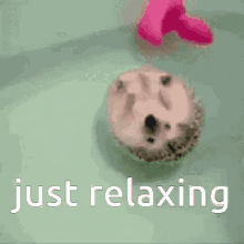 Just Relaxing Relaxing GIF - Just Relaxing Relaxing Floating GIFs