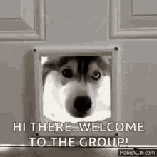 Welcome To GIF - Welcome To GIFs