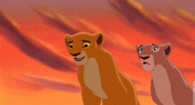 No Kiara Lion King 2 GIF - No Kiara Lion King 2 GIFs