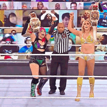 Asuka Charlotte Flair GIF - Asuka Charlotte Flair Womens Tag Team Champions GIFs