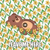 a teddy bear laying in a field of yellow flowers with the words leave me here
