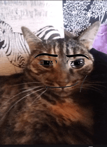 a cat with a drawing of a face on it