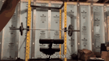 Stay Small Bodybuilding GIF - Stay Small Small Bodybuilding GIFs
