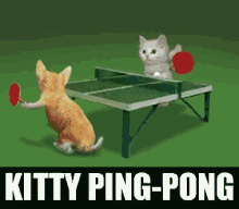 Pingpong Kitty GIF - Pingpong Kitty Cute GIFs