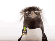 Penguin Omg GIF - Penguin Omg Ahh GIFs
