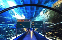Magic Tunnel GIF