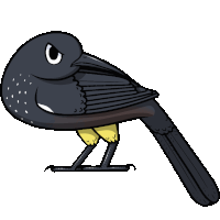 a cartoon drawing of a black bird with yellow legs and a long tail