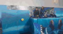 a group of people are sitting in front of a wall with a shark on it
