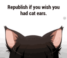 cat ears republish anime