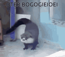 Boogie Otter GIF - Boogie Otter GIFs