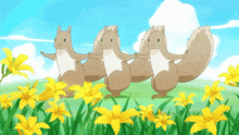 three squirrels are dancing in a field of flowers