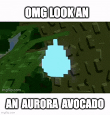 it looks like an aurora avocado in a minecraft game .