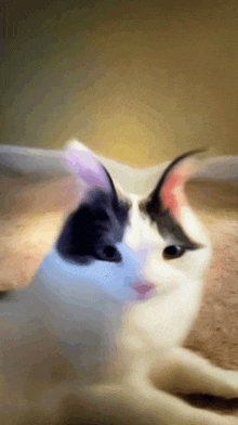 Monki Noodle Filter GIF - Monki Noodle Filter Funny Cat GIFs