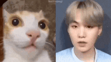 a close up of a cat and a close up of a man .