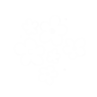 a white background with a pattern of flowers and circles on it