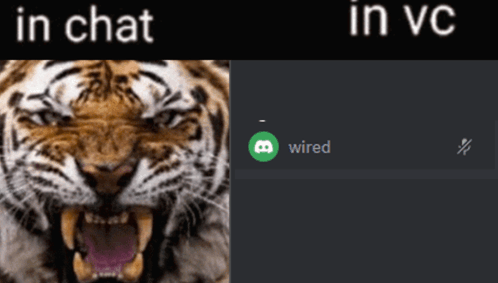 In Chat In Vc GIF - In chat in vc - Discover & Share GIFs