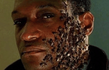 a man with a lot of bees on his face .