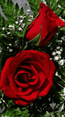 Love U Zindagi Deepraj GIF - Love U Zindagi Deepraj Red Roses GIFs