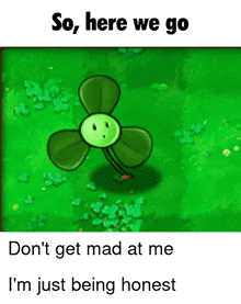 a picture of a green plant with the words so here we go