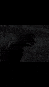 a close up of a person 's hand in the dark .