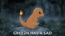 greez has a sad pokemon sitting on a rock in the woods
