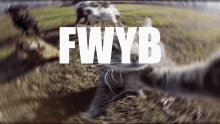 Fwyb GIF - Fwyb GIFs