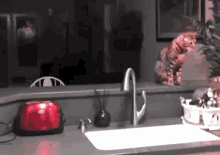 a kitchen counter with a red toaster a sink and a faucet