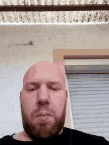 a bald man with a beard and a nose ring