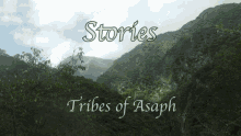 Tribes Of Asaph Bluergeenland GIF - Tribes Of Asaph Bluergeenland Tribes Of GIFs