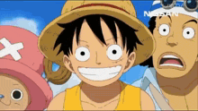 a group of cartoon characters including luffy and tony tony chopper standing next to each other