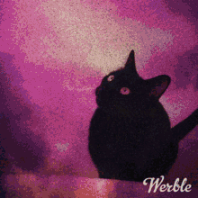 Lola Blackcat GIF - Lola Blackcat Sorcery GIFs