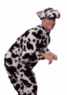 wiggles cow