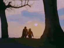 a man and a woman are standing under a tree at sunset .