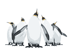 penguins squad dancing party yes