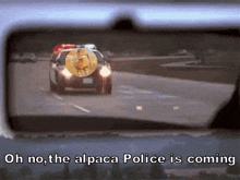 Cops Police GIF - Cops Police Catching Criminal GIFs