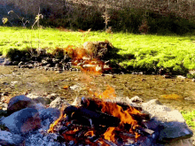 Fire Campfire GIF - Fire Campfire Creek GIFs