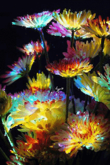 Nasserq Sabah GIF - Nasserq Sabah Flowers GIFs