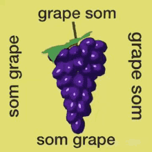 Som Somnam GIF - Som Somnam Grape GIFs