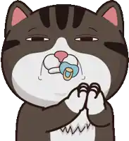 a cat with a pacifier in its mouth