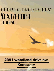 c%C3%A9lula eagles fly