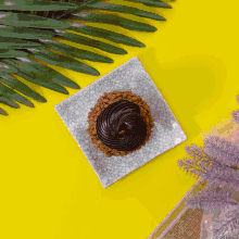 a cupcake with chocolate frosting sits on a square plate