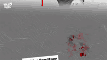 What The Hell Happened Nicklas Bendtner GIF