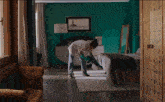 a woman is holding a vacuum cleaner in a room