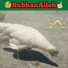 Allah Gaming GIF - Allah Gaming Funny GIFs
